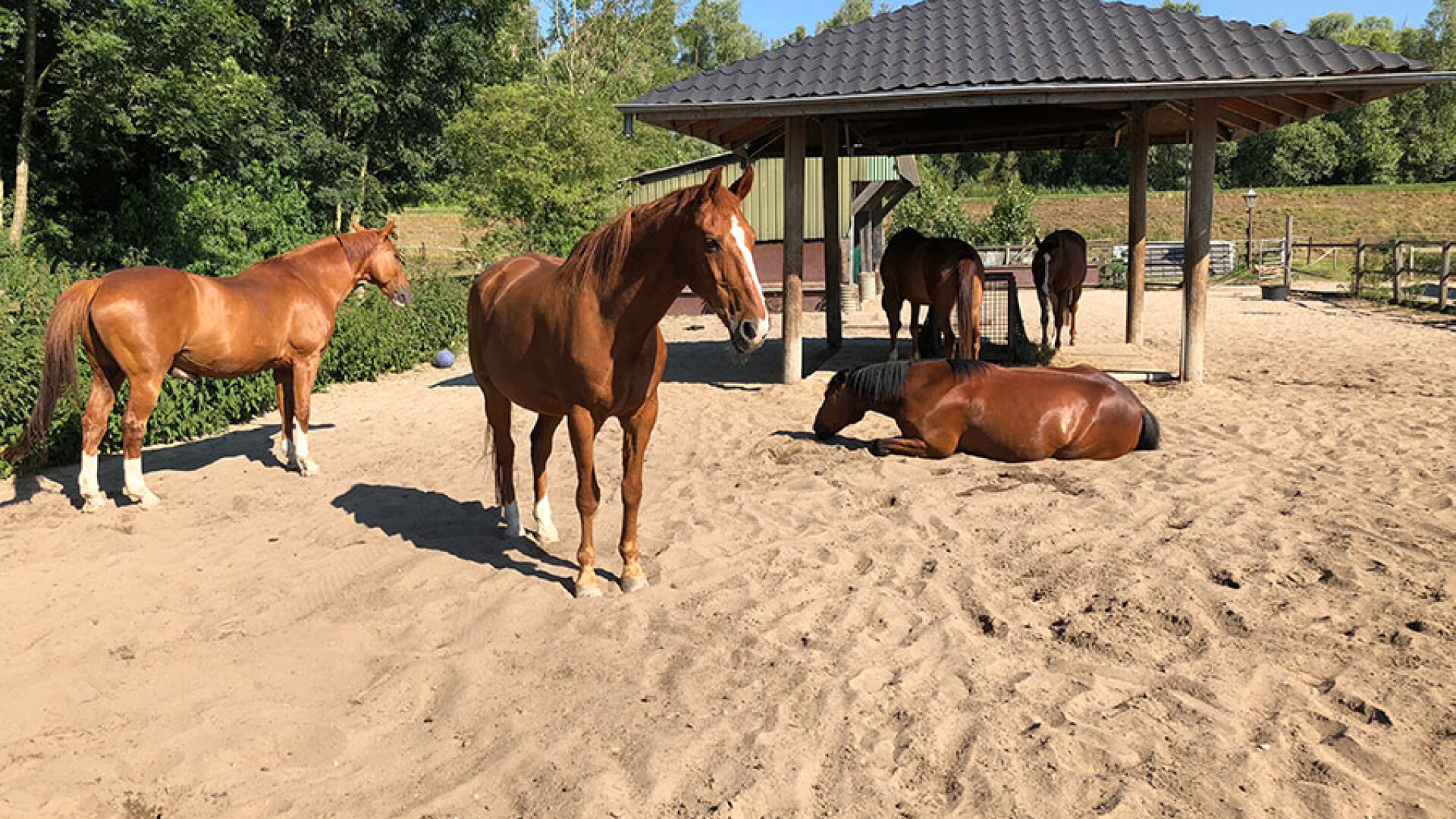42.jpg